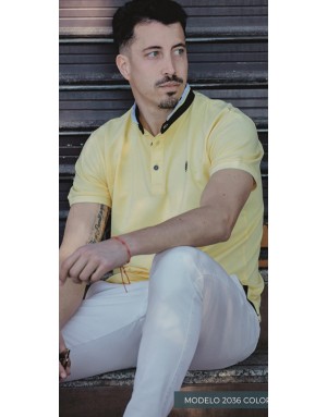Polo modelo 1